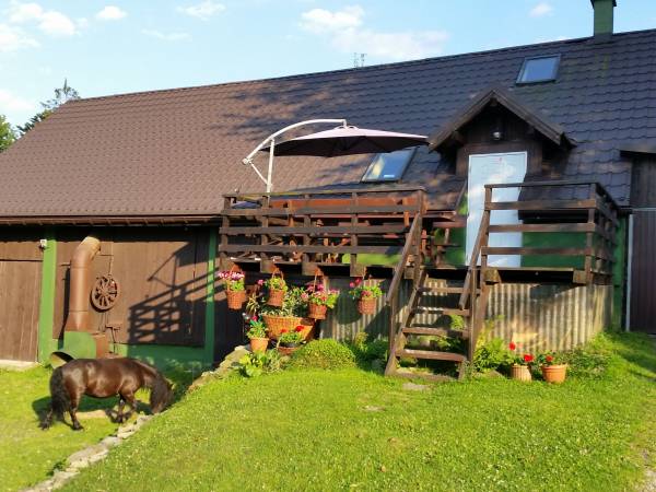 Apartament Buczyna