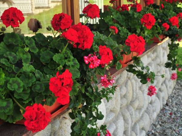 Pokoje Gościnne Hełdak