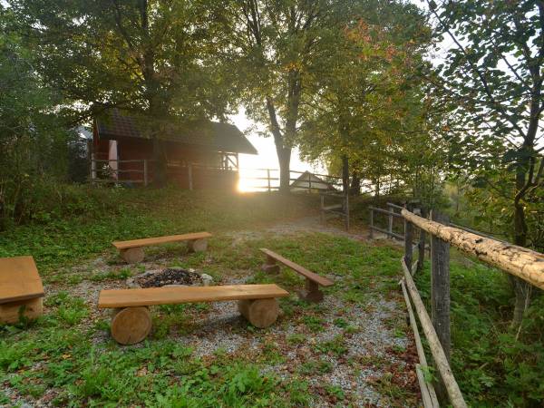 Apartamenty Pod Lipami