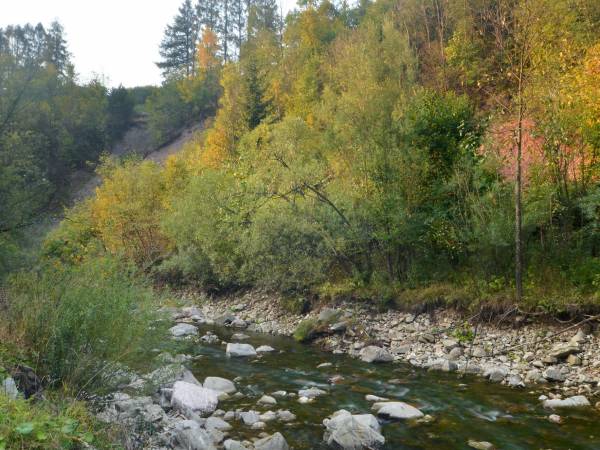 Apartamenty Pod Lipami