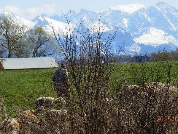 Pokoje Gościnne u Marii
