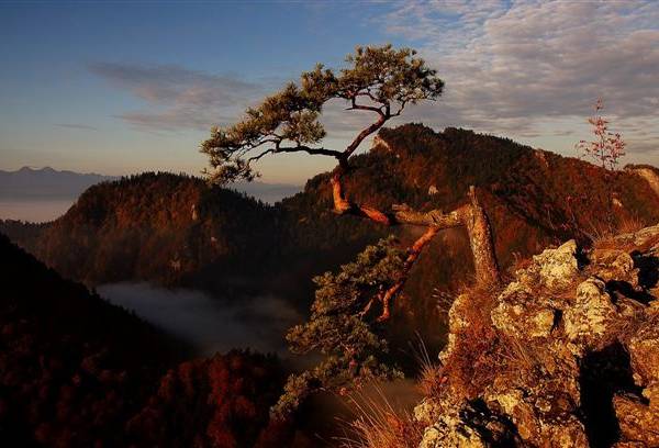 Willa Przekop Anna i Adam Dębski