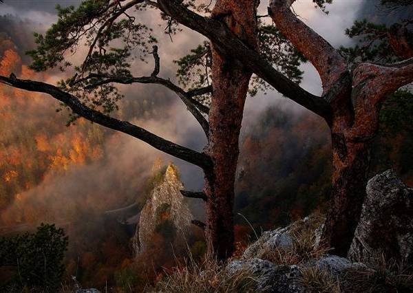 Willa Przekop Anna i Adam Dębski