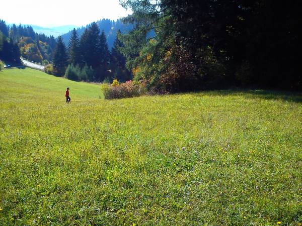 Willa Przekop Anna i Adam Dębski