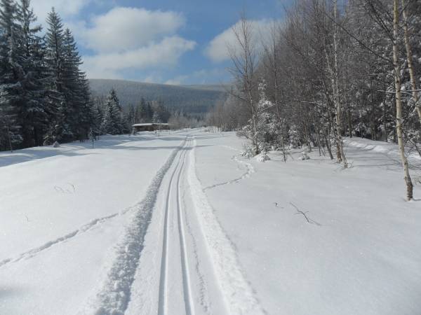 Trasy biegowe obok obiektu
