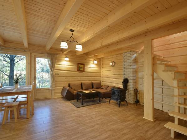 Salon - Suchatka Dębowa Jacek i Agatka