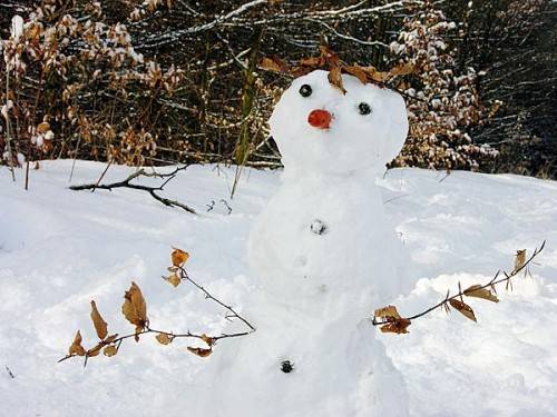 Atrakcje dla dzieci lepienie balwana