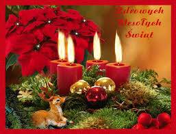 Domki całoroczne u Marii