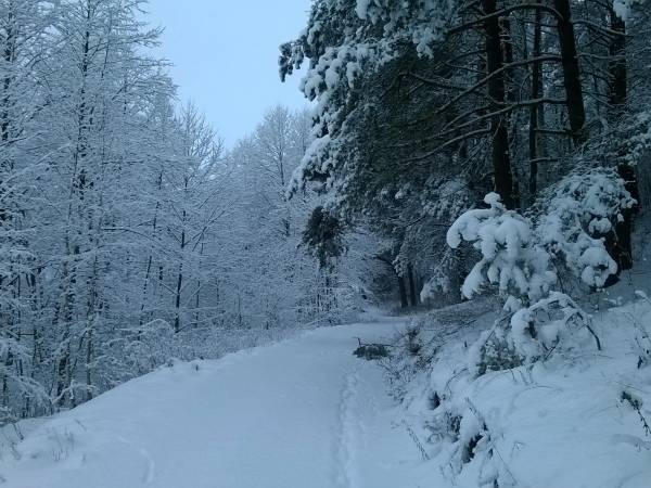 droga do Agropensjonatu