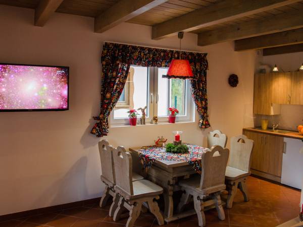 Pokój dzienny z aneksem