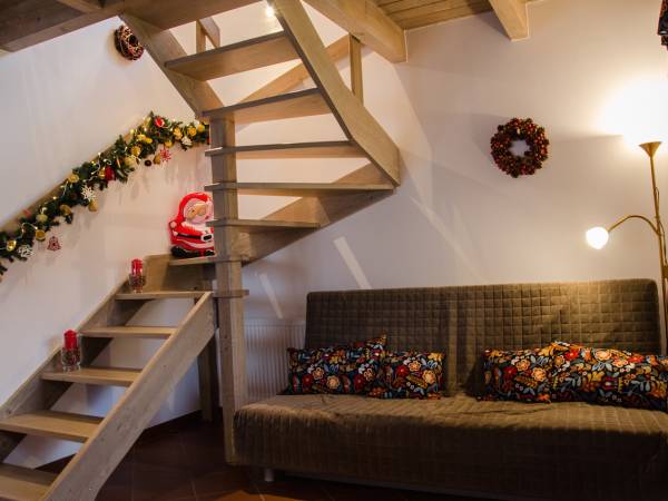 Pokój dzienny z aneksem