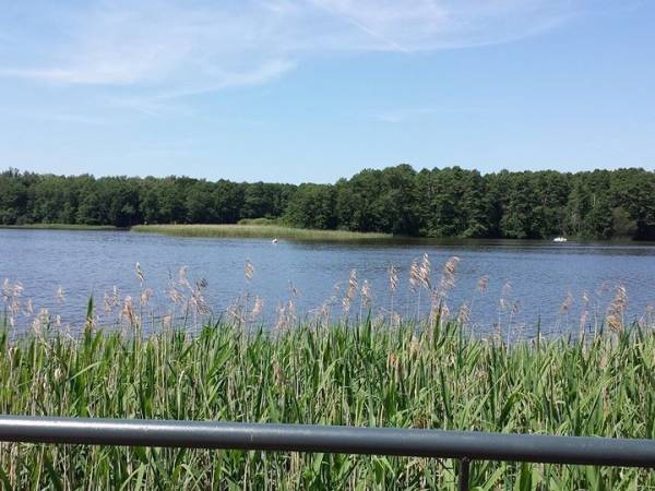 widok na Wyspę Wielka Żuława