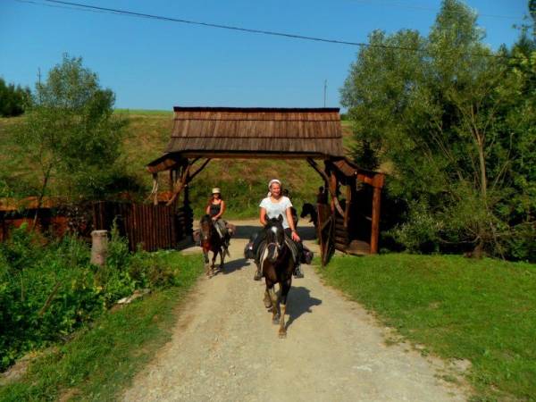 Stadnina Koni Huculskich