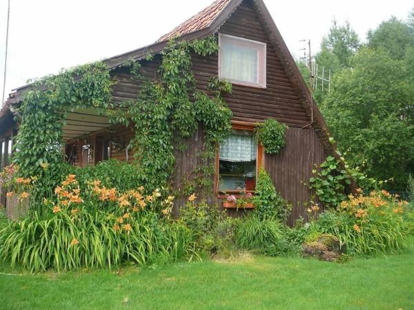 Agroturystyka Krystyna Bałachowicz