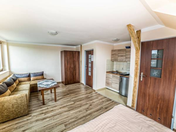 pokój z aneksem kuchennym