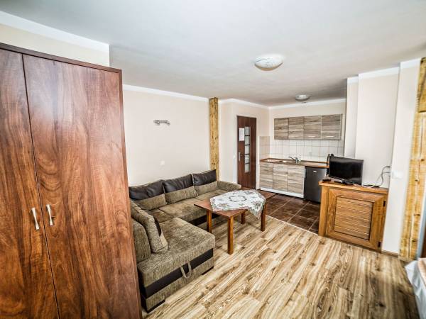 pokój z aneksem kuchennym