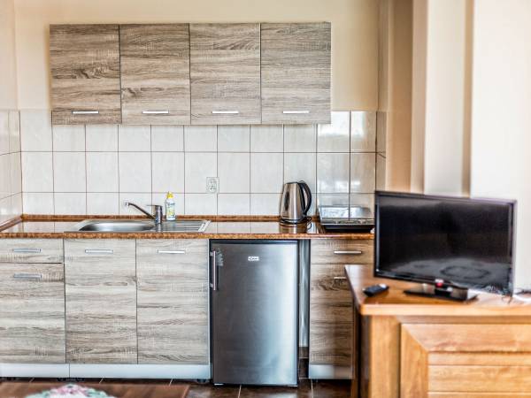 pokój z aneksem kuchennym