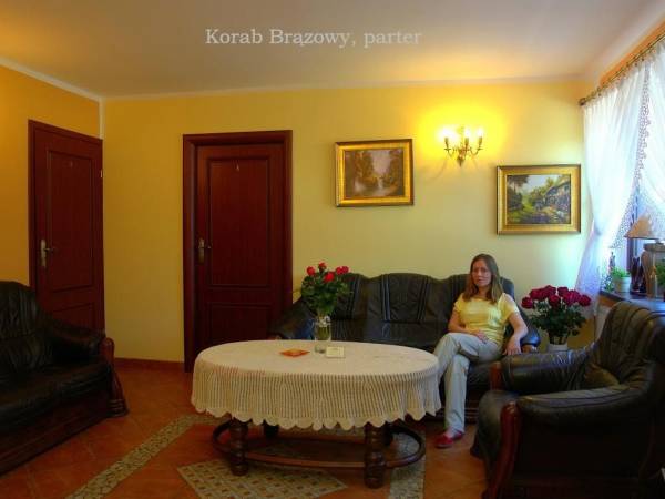 Hol - Korab Brązowy