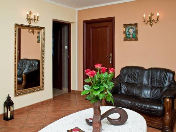 Hol - Korab Brązowy