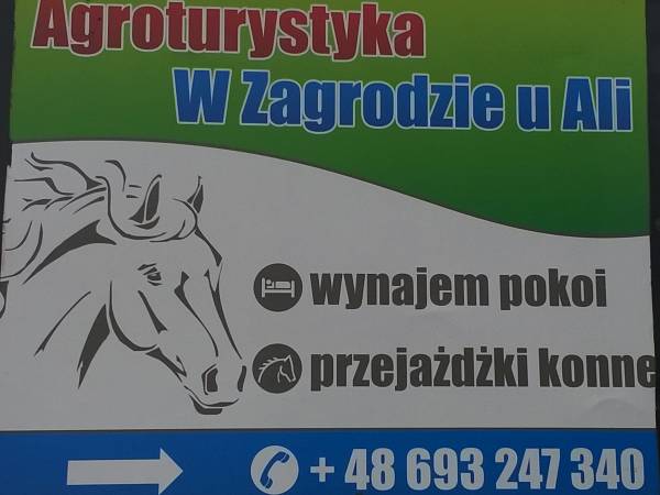 Agroturystyka w zagrodzie U ALI