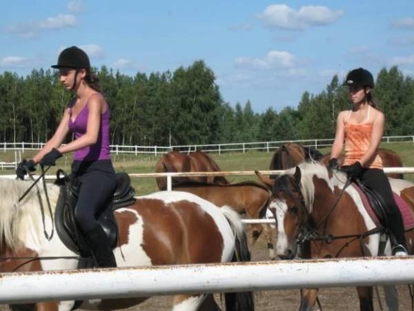 Stajnia Głęboczek Gospodarstwo Agroturystyczne
