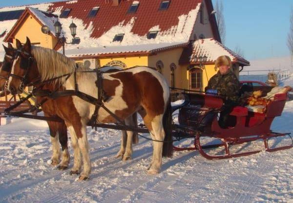 Stajnia Głęboczek Gospodarstwo Agroturystyczne