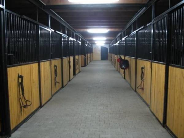 Stajnia Głęboczek Gospodarstwo Agroturystyczne