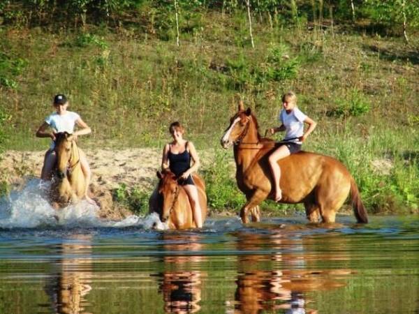 Stajnia Głęboczek Gospodarstwo Agroturystyczne