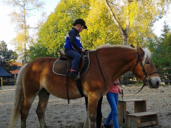 Nauka jazdy konnej na Farmie Lama