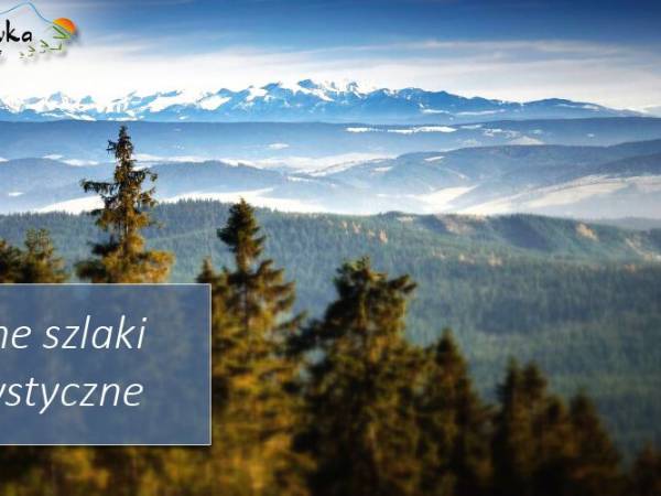 Domki Wypoczynkowe Romanówka