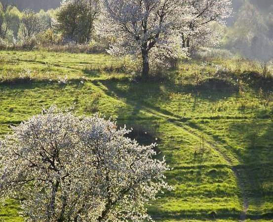 Domki Wypoczynkowe Romanówka
