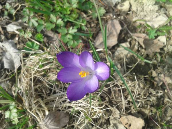 Domki Wypoczynkowe Romanówka