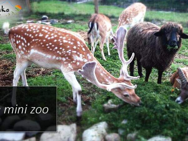 Domki Wypoczynkowe Romanówka