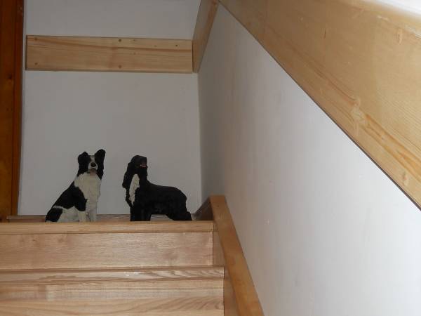 Agroturystyka u Blaszyńskich