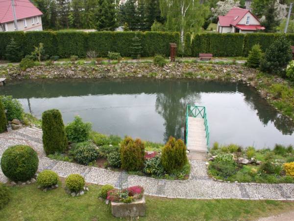 Widok na jeden ze stawów