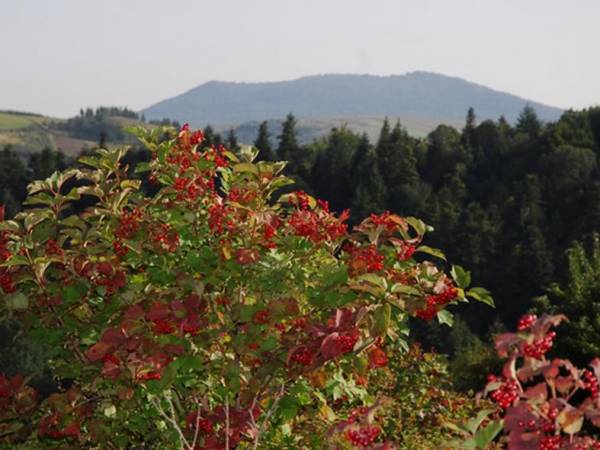 Zajazd Pod Małym Laskiem