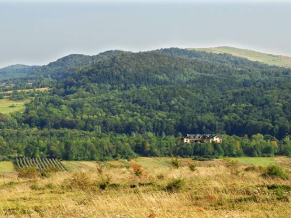 Zajazd Pod Małym Laskiem