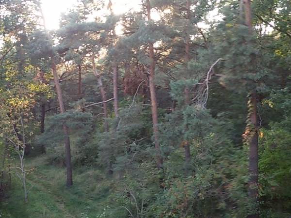 Pokoje Gościnne Przy Wydmie