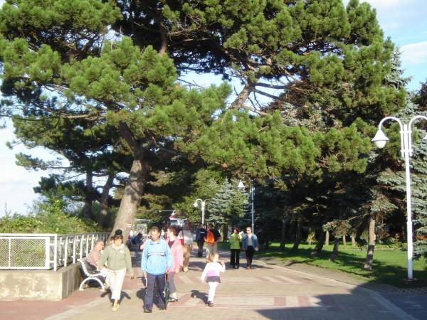 Apartamenty Morska Bryza 