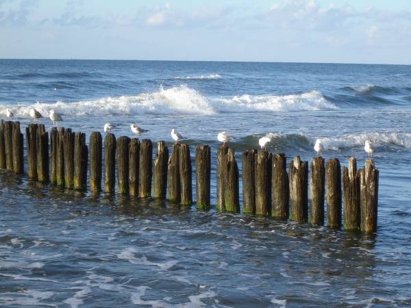 Apartamenty Morska Bryza 