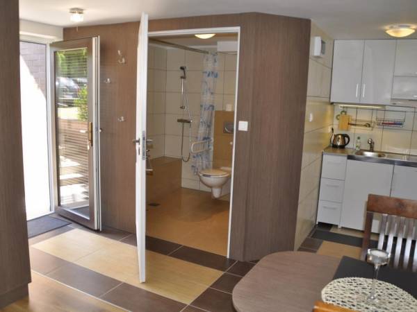 Studio przystosowane do potrzeb osób niepełnosprawnych „KOJA”