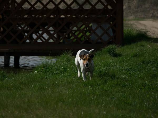 Stajnia Głęboczek Gospodarstwo Agroturystyczne