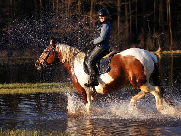 Stajnia Głęboczek Gospodarstwo Agroturystyczne