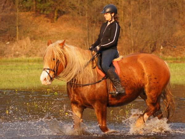Stajnia Głęboczek Gospodarstwo Agroturystyczne