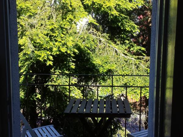 Przyroda w zasięgu ręki