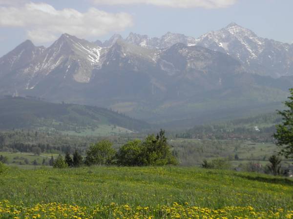 widok z okolicy domu