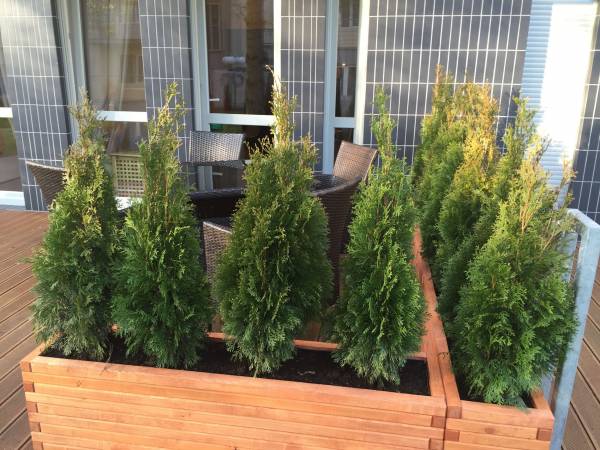 Spokój i prywatność wśród zieleni