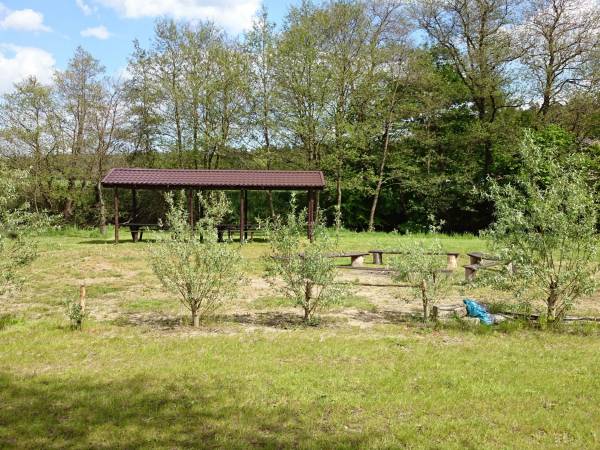 Pole namiotowe Kaszubskie Kajaki