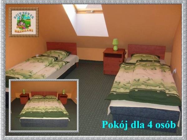 Dom gościnny Pod brzozami