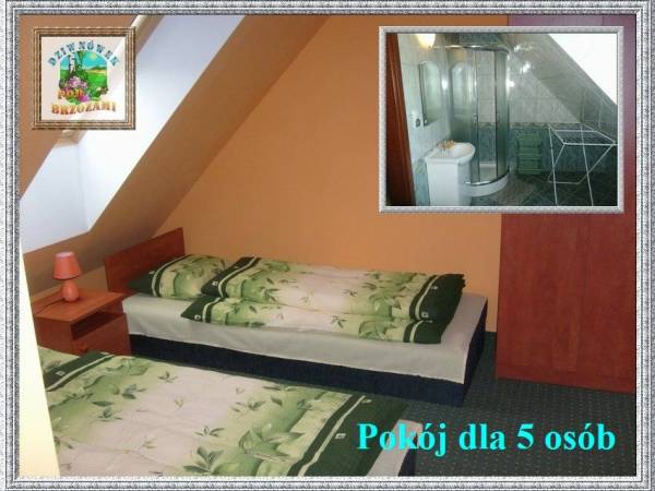 Dom gościnny Pod brzozami